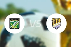 阿拉比科威特vs阿尔沙希尔比分预测【2026/02/16】