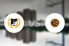 迪比辛尼vsOSE狮队比分预测【2025/11/02】