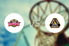 秋田北部喜悦vs群马雷鹤比分结果战报【2025/11/08】