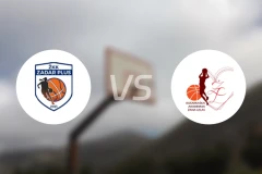 扎达尔Plus女篮vs卡兹女篮比分预测【2026/02/14】