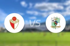 FC贝卡vs达姆布雷维塔比分预测【2025/11/22】