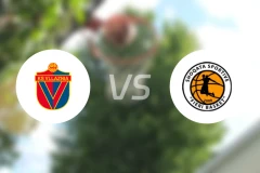 维拉斯尼亚vs费里比分预测【2025/11/17】