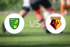 诺维奇vs沃特福德比分预测【2025/12/30】