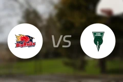 岩手大公牛vs神户鹳鸟比分预测【2026/01/31】