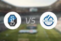 SV多瑙vsSV霍恩比分预测【2026/02/28】