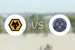 狼队vs什鲁斯伯里比分预测【2026/01/10】