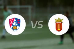 卡拉贺拿vs维安纳斯比分预测【2025/12/21】