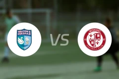 沃尔顿赫瑟姆vs沃金比分预测【2026/01/31】