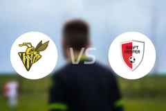 尼达克vs斯威夫特比分预测【2026/02/15】