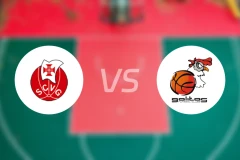 瓦斯科达伽马vs巴雷鲁加利托比分预测【2026/02/08】