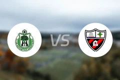 CD阿尔廷vs亚勒那斯比分预测【2026/04/05】