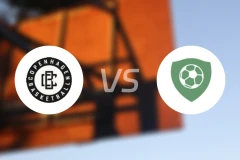 哥本哈根vs维耶比分预测【2025/11/01】