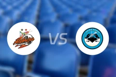 阿莱布里赫vs勇敢螃蟹比分预测【2026/04/11】