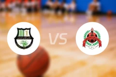 阿尔艾利多哈vs阿尔赖扬比分预测【2026/03/27】