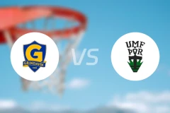 格林达维克vs托尔比分预测【2026/03/27】