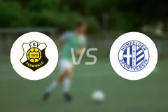 费瓦德vs亨费尔德SV比分预测【2024/10/12】