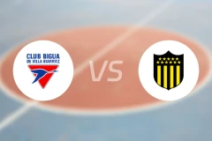 比佳亚vs佩纳罗尔比分预测【2025/11/18】