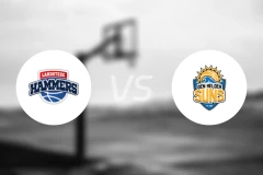 兰德斯特德女篮vs登海尔德女篮比分预测【2025/11/24】