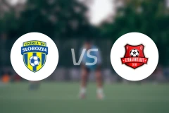 斯洛博齐亚vs赫曼施塔特比分预测【2026/01/31】