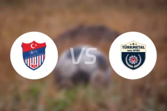 尼格德vs土耳其金属比分预测【2026/02/01】