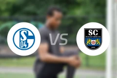 沙尔克04B队vs维登贝鲁克比分预测【2025/12/06】