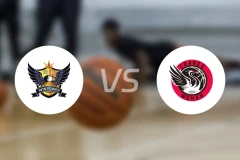 石家庄英励女篮vs武汉盛帆黄鹤女篮录像回放【2025/11/26】