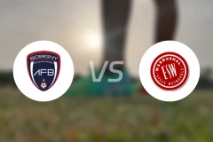 博比尼vs瓦斯克哈尔比分预测【2024/10/20】