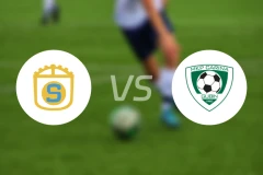 斯蒂尔贾辛vs卡琳娜古宾比分预测【2025/10/31】