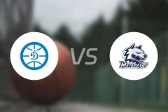 海参崴迪纳摩vs麦特鲁格比分预测【2025/11/29】