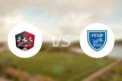 弗勒里梅洛吉斯vs维利法兰比分预测【2026/02/14】