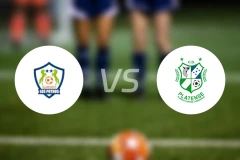 奥兰乔FCvs帕兰德森比分预测【2025/12/26】