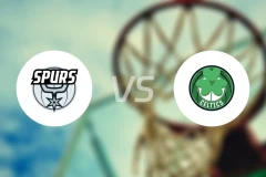 马刺vs凯尔特人比分预测【2026/01/11】