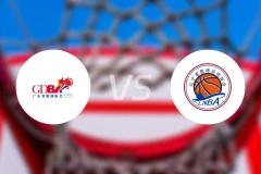 广东女篮vs辽宁女篮录像回放【2025/11/14】