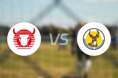 托罗斯尼泽vs维纳多斯竞技比分预测【2025/11/22】