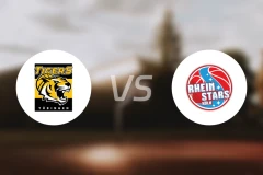 图寅根vs科隆莱茵之星比分预测【2026/03/15】