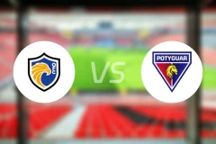 基尼奥FCvs波提瓜尔塞里多恩斯比分预测【2026/02/05】