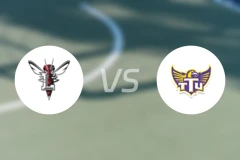 林奇堡大学vs田纳西理工大学比分结果战报【2025/11/11】