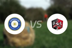 凡尔赛vs弗勒里梅洛吉斯比分预测【2026/03/21】