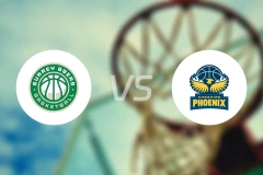 萨里89人vs柴郡凤凰比分预测【2025/12/05】