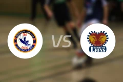 贝切vs狮心比分预测【2026/02/15】