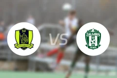 特拉凯vs萨尔格里斯比分预测【2026/04/11】