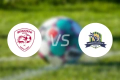 瑟库库内联vs马鲁莫加兰斯比分预测【2026/04/25】