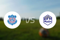 甲府风林vs山形山神比分预测【2024/09/28】
