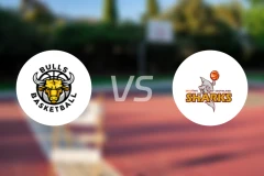 富兰克林公牛vs南部鲨鱼比分结果战报【2026/04/16】