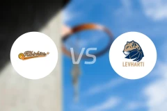 克尔迪斯维尔纽斯女篮vs霍穆托夫猎豹女篮比分预测【2025/11/28】