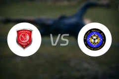 杜海勒vs赛利亚比分预测【2025/10/18】