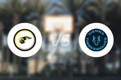 延纳斯多夫vs维也纳森林狼比分预测【2026/03/15】