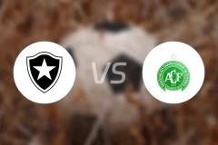 博塔弗戈vs沙佩科恩斯比分预测【2026/04/22】