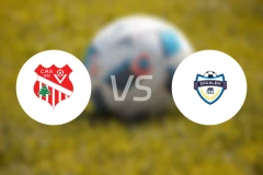 海尼拉夫vs苏阿莱姆比分预测【2025/11/23】