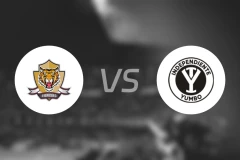 锡帕基拉老虎vs云博独立比分预测【2026/02/17】